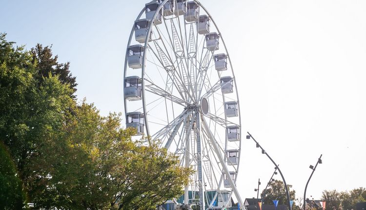 Fellbacher Herbst vom 11. bis 14. Oktober 2024 