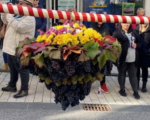 Fellbacher Herbst 